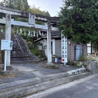 大歳神社の鳥居をくぐります