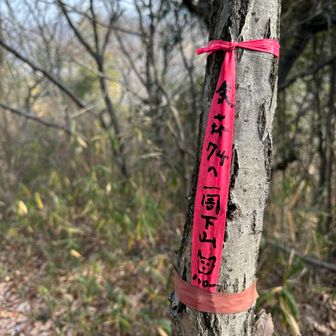 ピンクテープに救われた