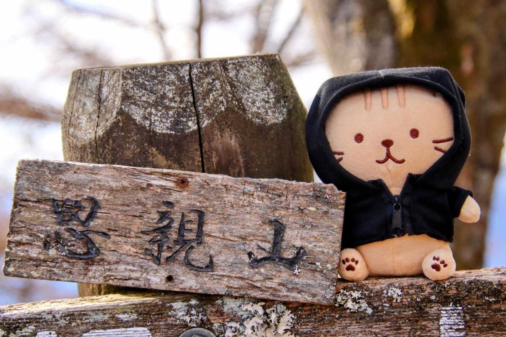 相棒も登場✨
