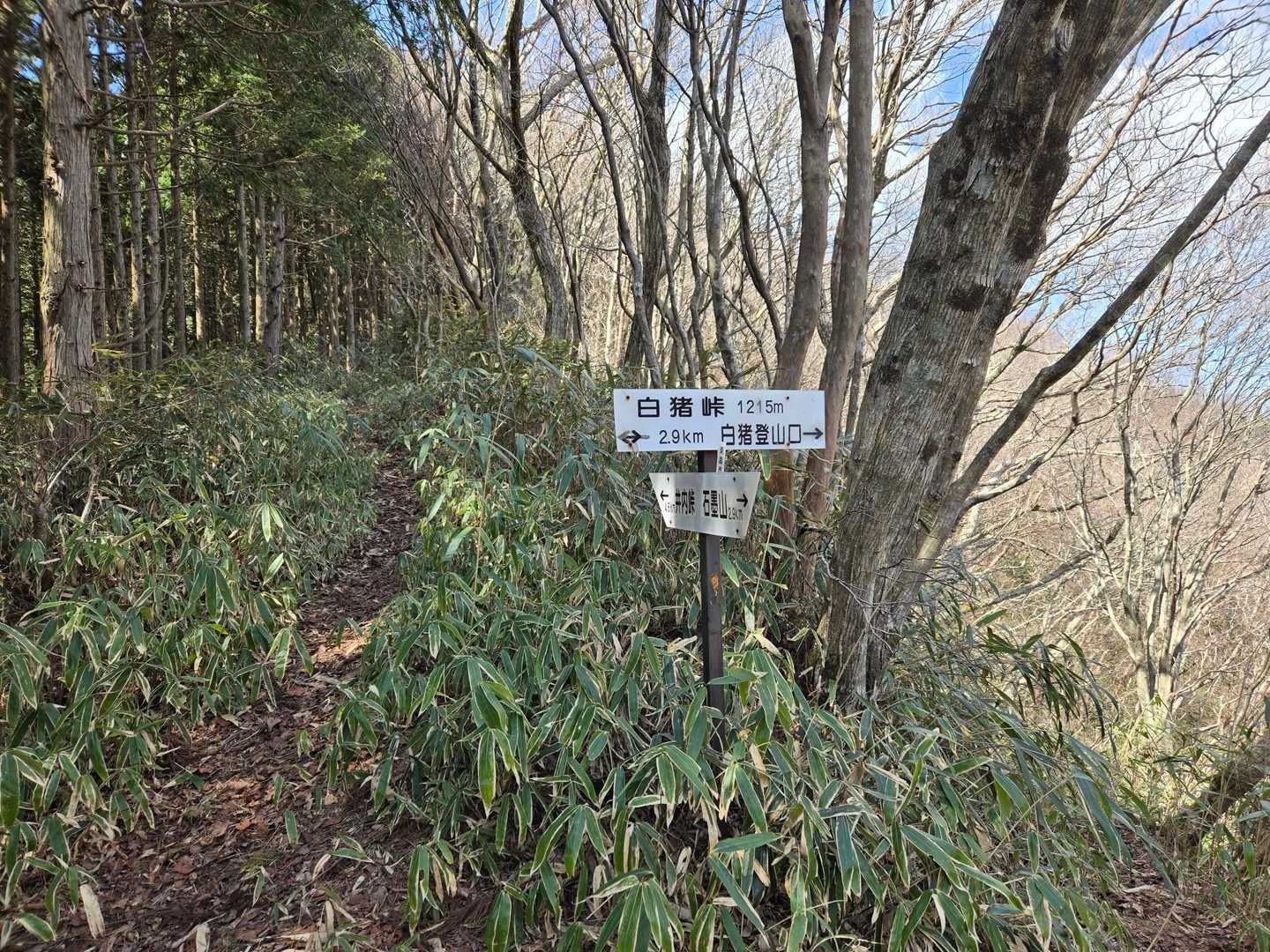 白猪峠です。
この後、根無山に行く予定だったけど、あとの行程も考えると、時間的にきついので、このまま下山しました。