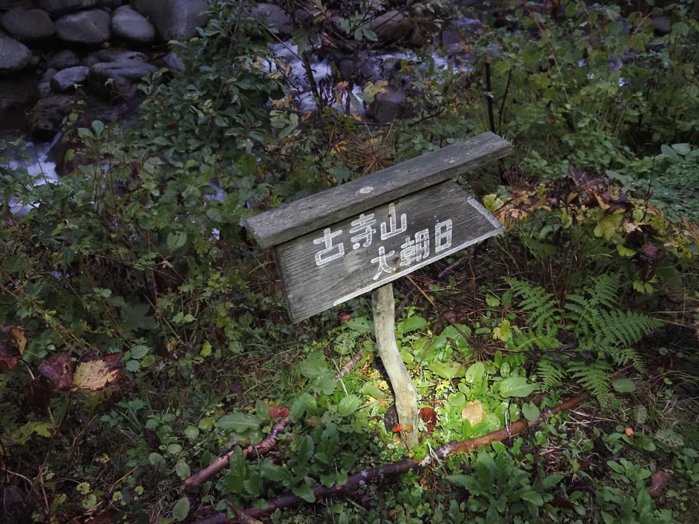 古寺鉱泉登山口-古寺山-小朝日岳 往復コースの写真