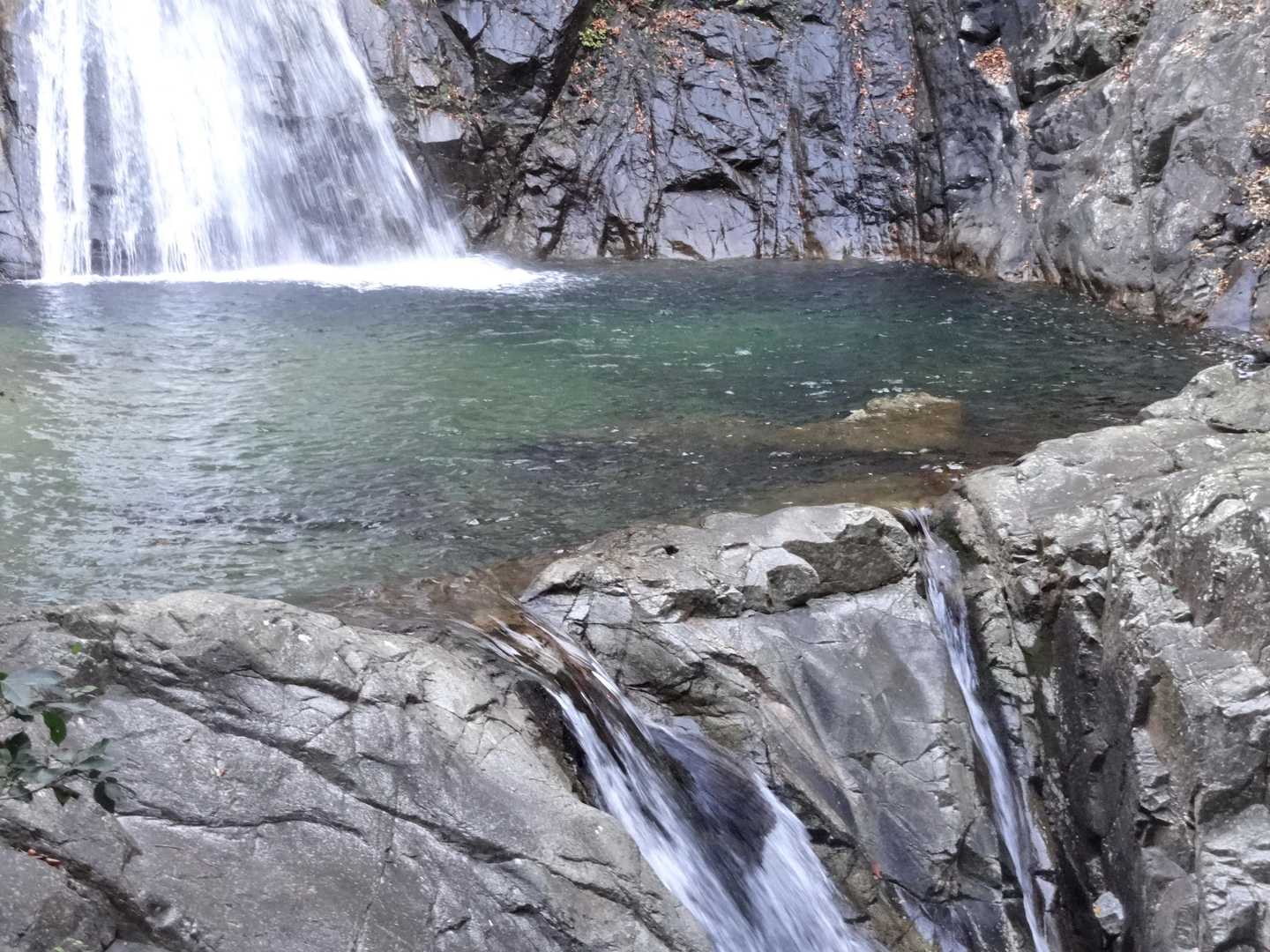 都会だけど山に入ると自然いっぱいです😊