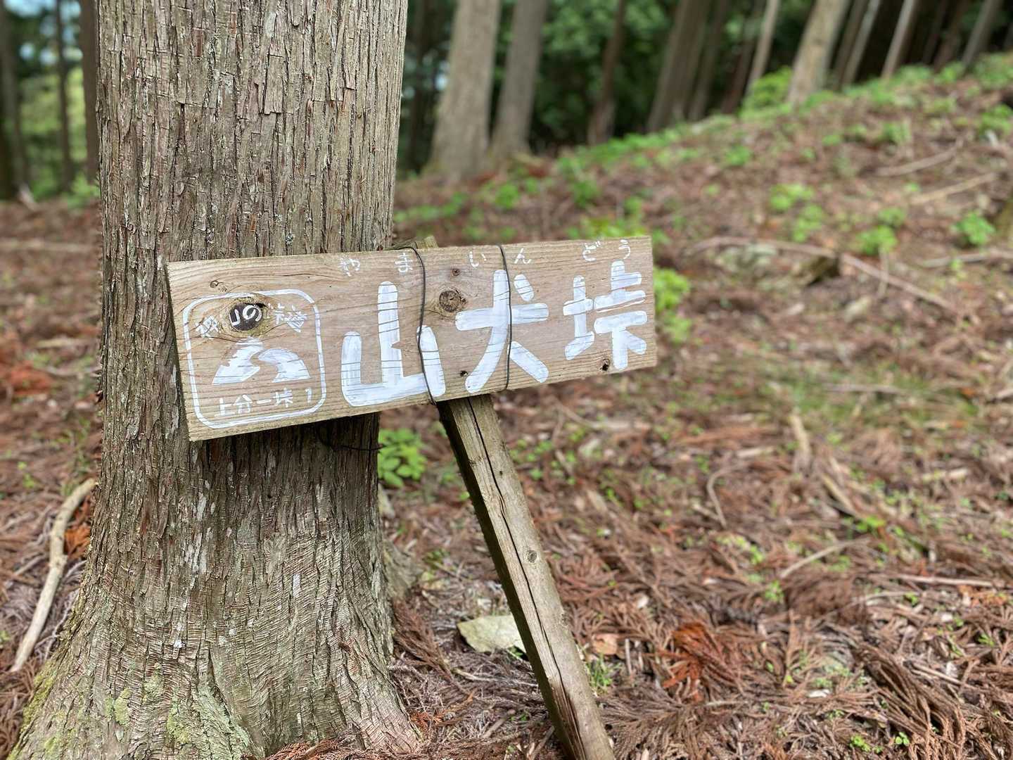 天行山-東宮山-富貴山 周回コースの写真