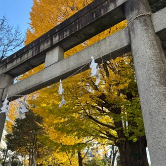 鳩森八幡神社到着🌳 約千百年以上前に創建された、応神天皇、神功皇后を祀る八幡神社です