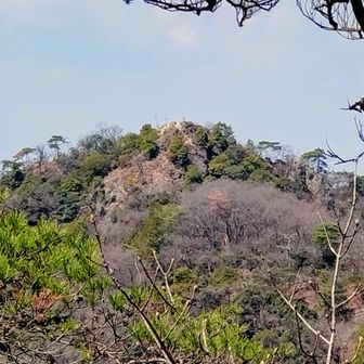 見えてる一床山🤗