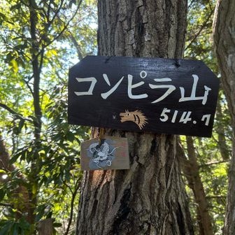 「コンピラ山514.7m」山頂標識
龍がまつわる山域なのでしょうか