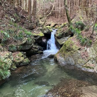 下滝と言うようです
川全体的に澄んでいて綺麗な場所でしたが、一番のお気に入りです