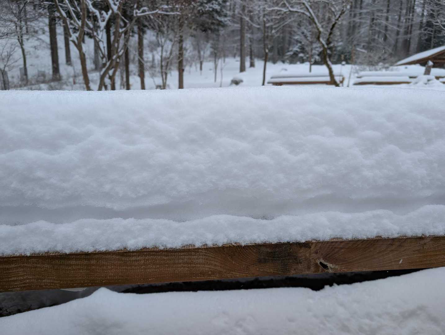 これだけ積もりました。
山行中もずーっと雪❄