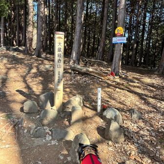 山頂着きました