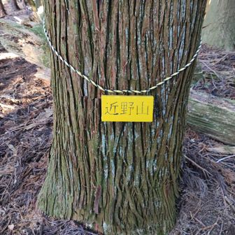 近野山の銘板。