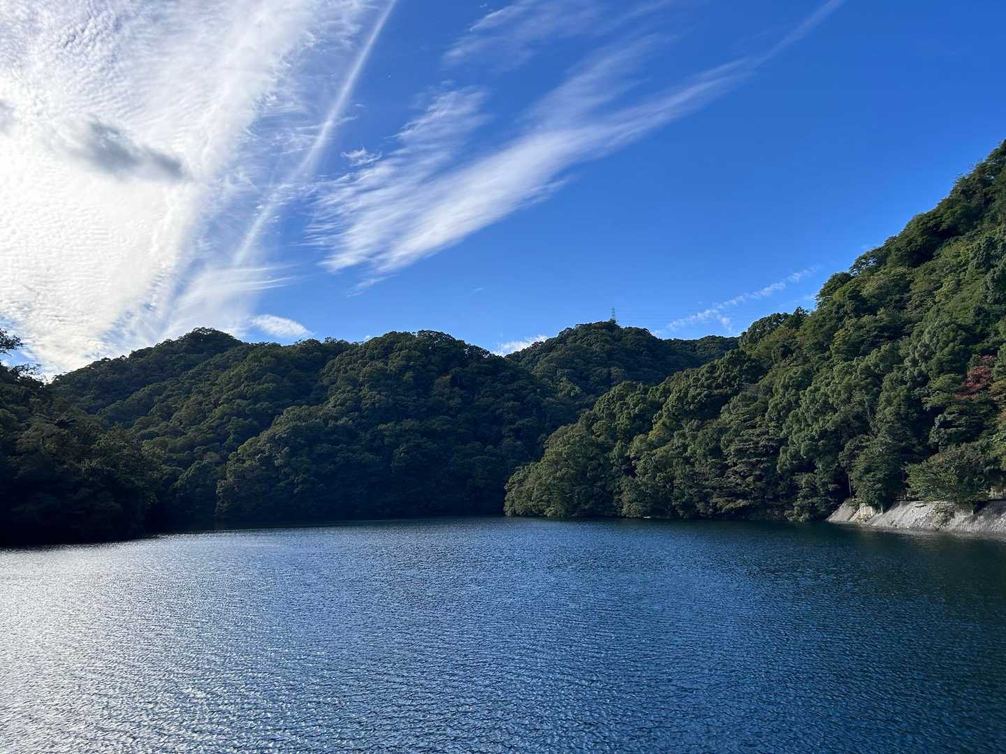 ダムまで降りて来た