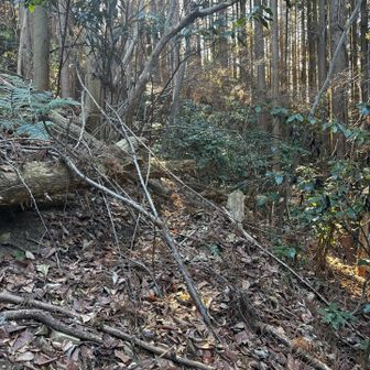 あー、歩きしらい💦
