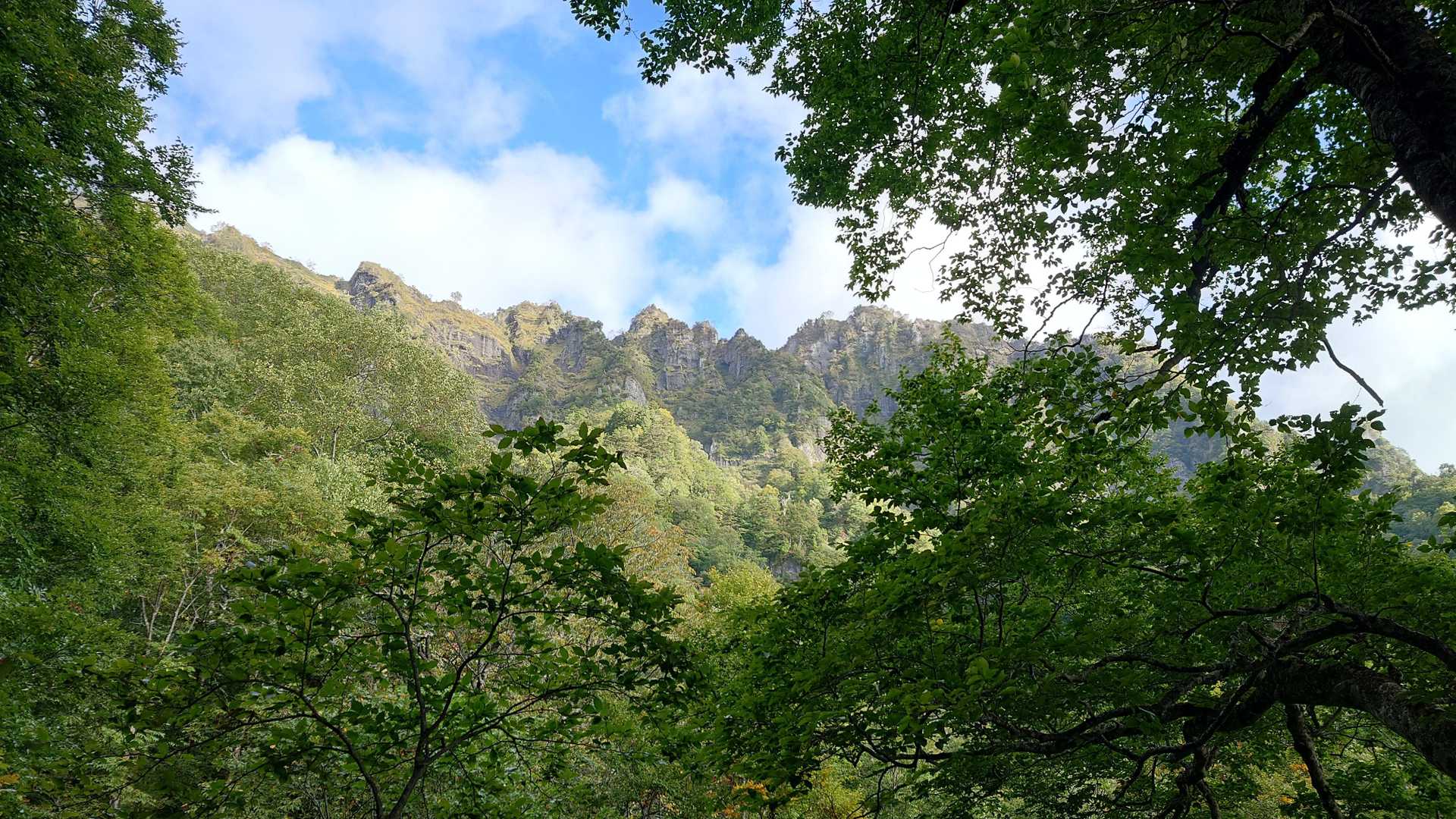 登山道途中から戸隠山の稜線を仰ぎ見る。
