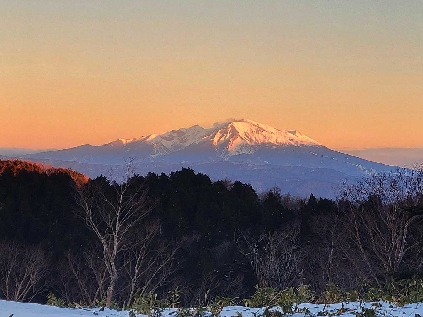 太陽🌄の光を浴びて色が変わります🧡