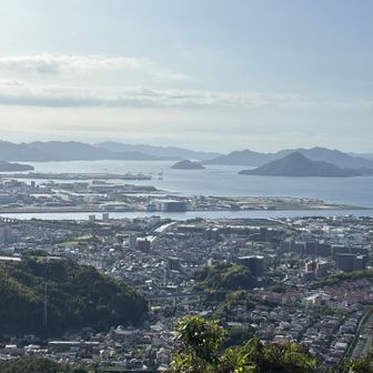 お〜
美しい。全て過去のこと。
今夜がんばれタイガース。カープさん、お願い🙏勝たせて。