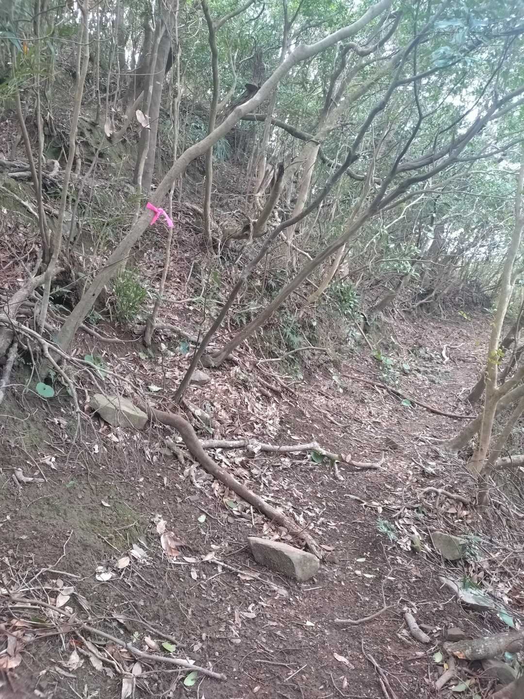 道なりに進むも