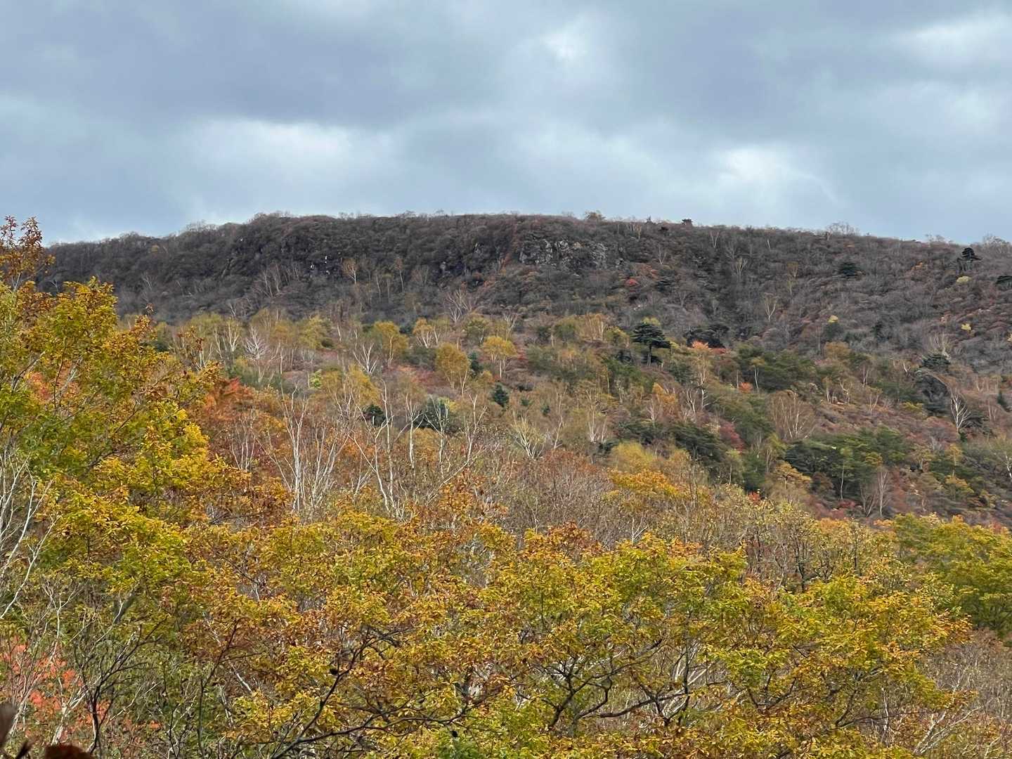 峠の茶屋登山口-茶臼岳-隠居倉-朝日の肩-朝日岳 周回コースの写真