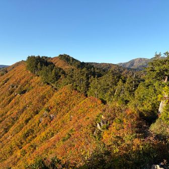 台倉山の斜面が素晴らしい