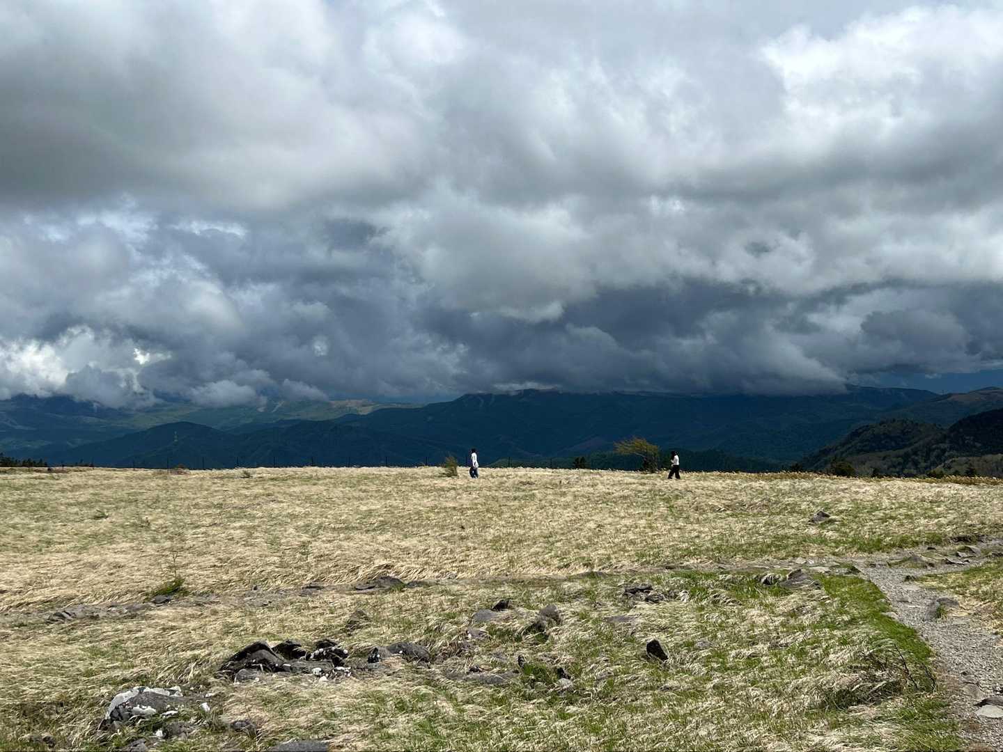 八ヶ岳はどんより