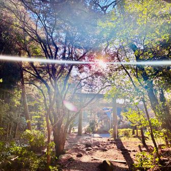 今年も無事に下山⛰️
ありがとうございました🙇‍♂️
明日は山登りデビューの方を宝満山にご案内😁
明日もいい天気でありますように🙏