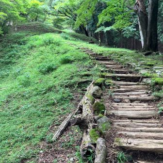 鷹巣山直下の急登⛰️