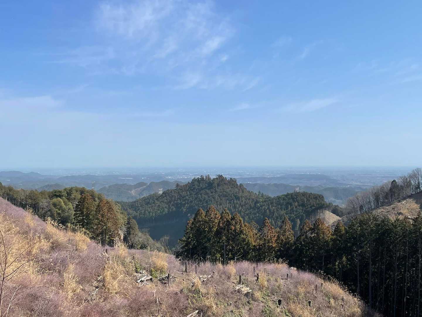 これからいく日の出山ですよね？