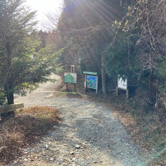 最後まで
ちらちらと舞う雪でした。