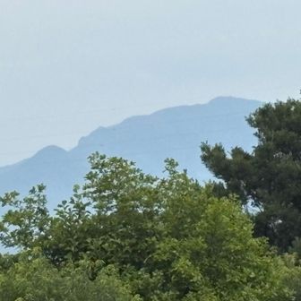 子持山も見えた⛰️