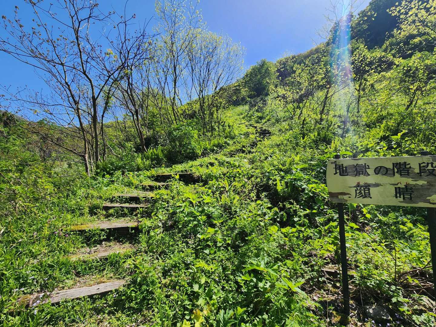 無事に"地獄の階段"を下りきりました😀｡
最後の最後に緊張しましたよ😂。