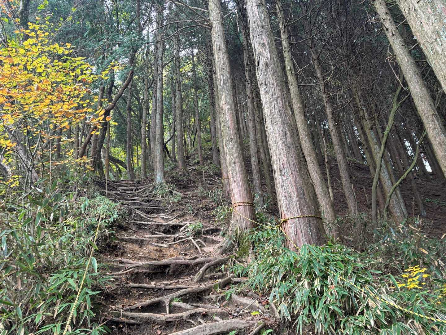 疲れた頃に出てくる　急登　ココが一番しんどい所