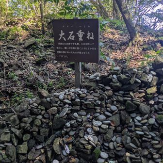 だいぶ下まで来たつもりでしたが…