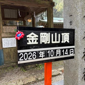 あれ、ライブカメラはどこだ…？