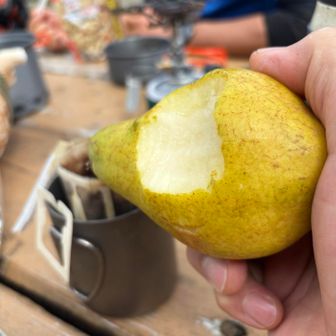 バナナ、梨、柿を貢ぎベンチでランチ！
デザートは洋梨🍐
洋梨ってもっと洋梨感あった気がする。
なんか普通の梨だったかも…。