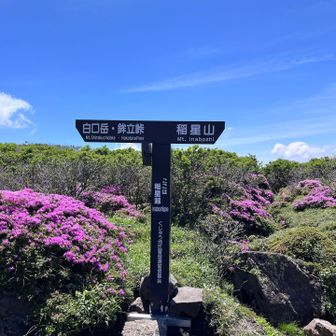 稲星越！
これから白口岳を目指します。