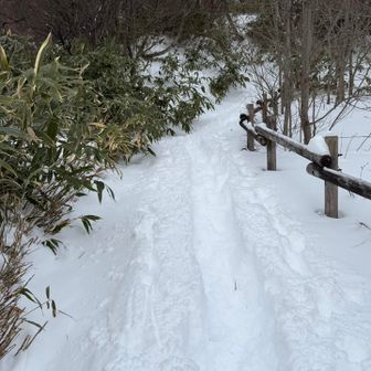 トレースもバッチリです👍