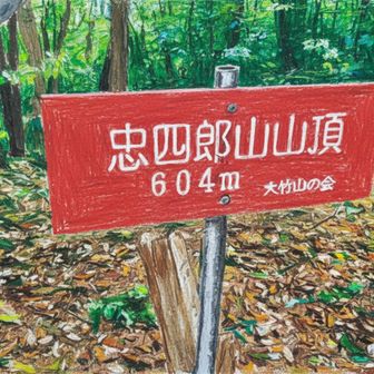 そんなこんだでお話ししてたら｢忠四郎山｣に到着🎵

ここまでの時間はなんだか早く感じた🤔