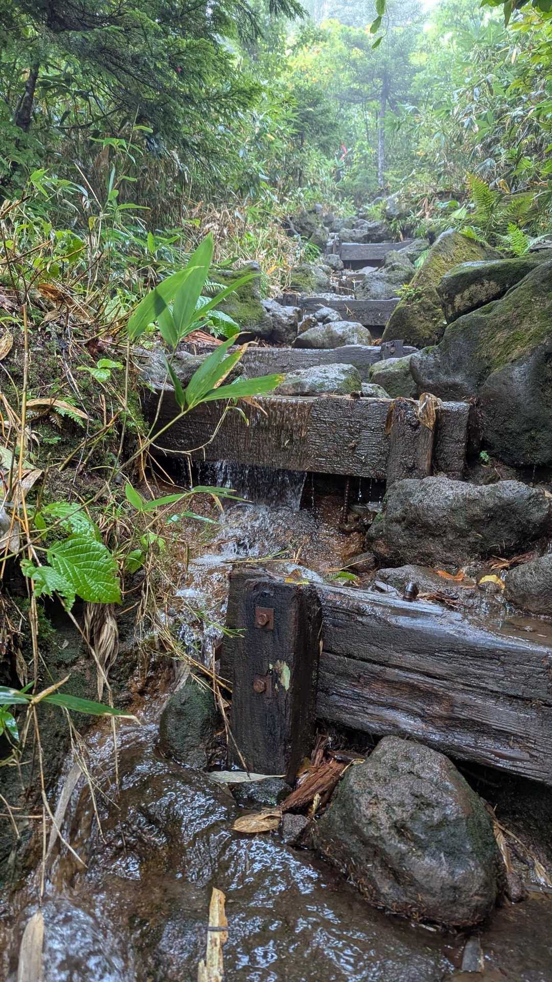 御池登山口-広沢田代-熊沢田代-燧ヶ岳-長英新道分岐 縦走コースの写真