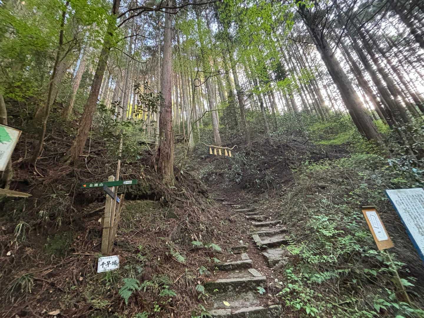 この上に千早城跡🏯があります