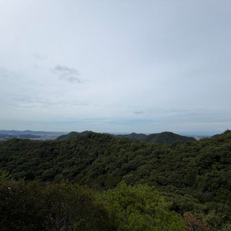 からの景色