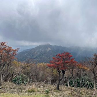 御嶽大権現からの鎌ヶ岳😄