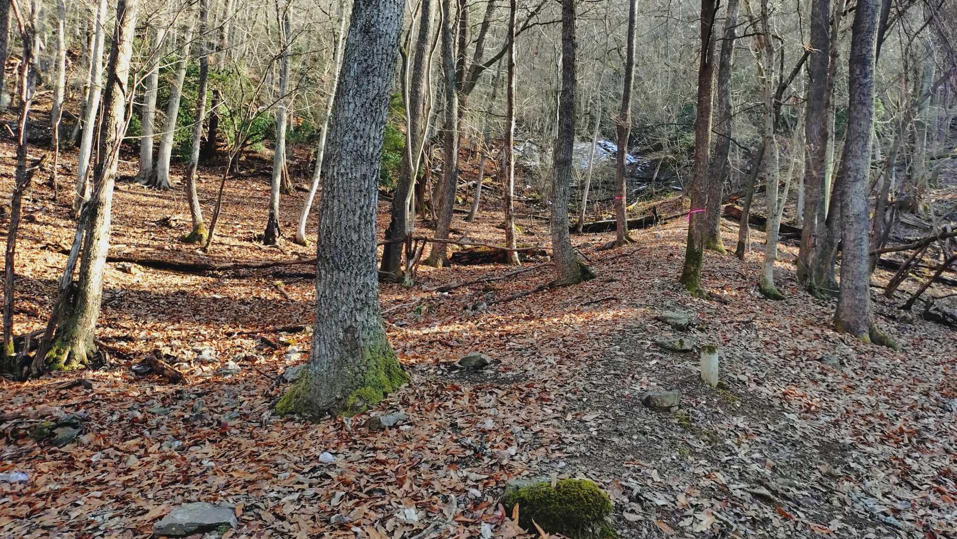 黒尾橋登山口-美女山 周回コースの写真