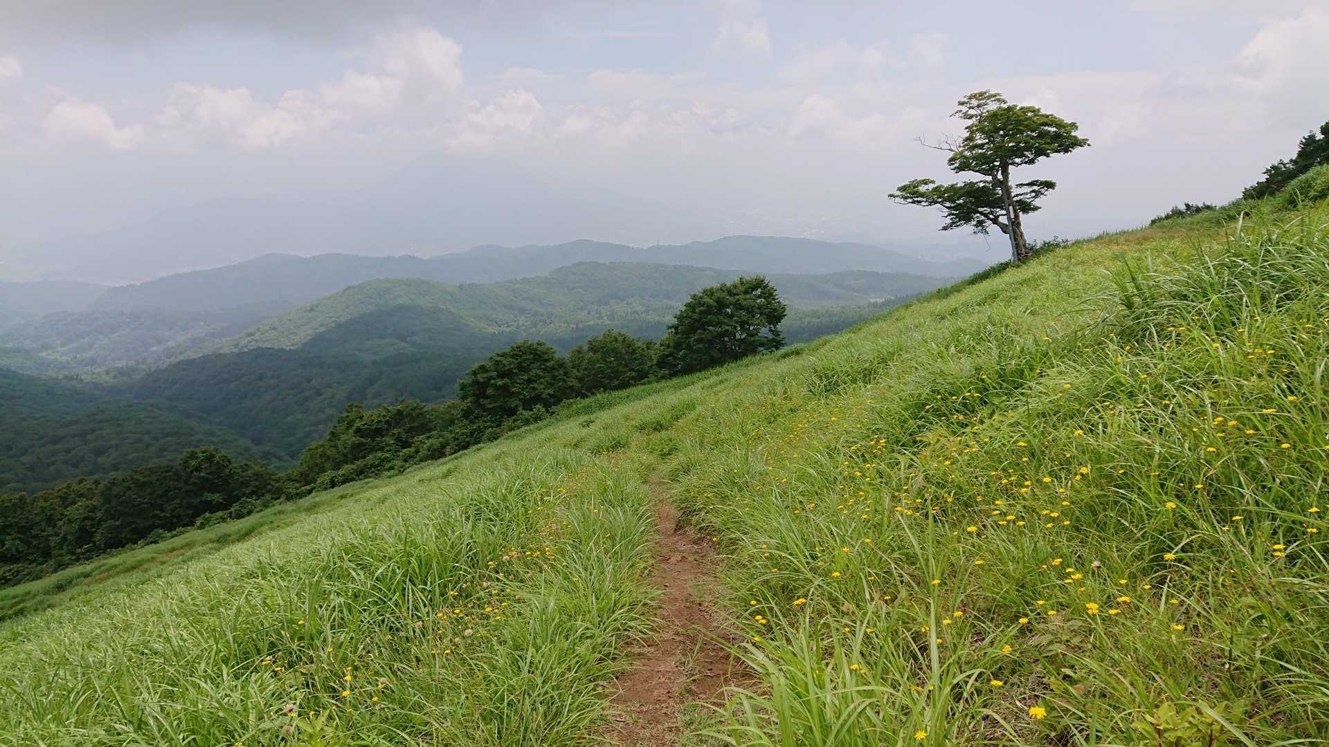 下山道のほうがいいですね