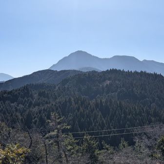 奥が金時山