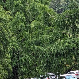 そんなこんなで…駐車場に着きました🚙