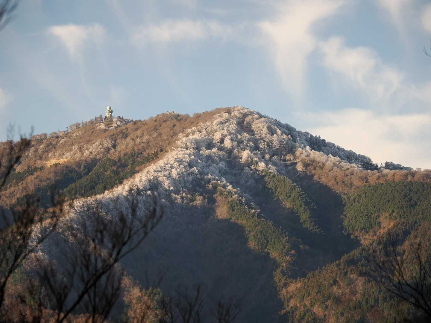 高城霧氷は少な目