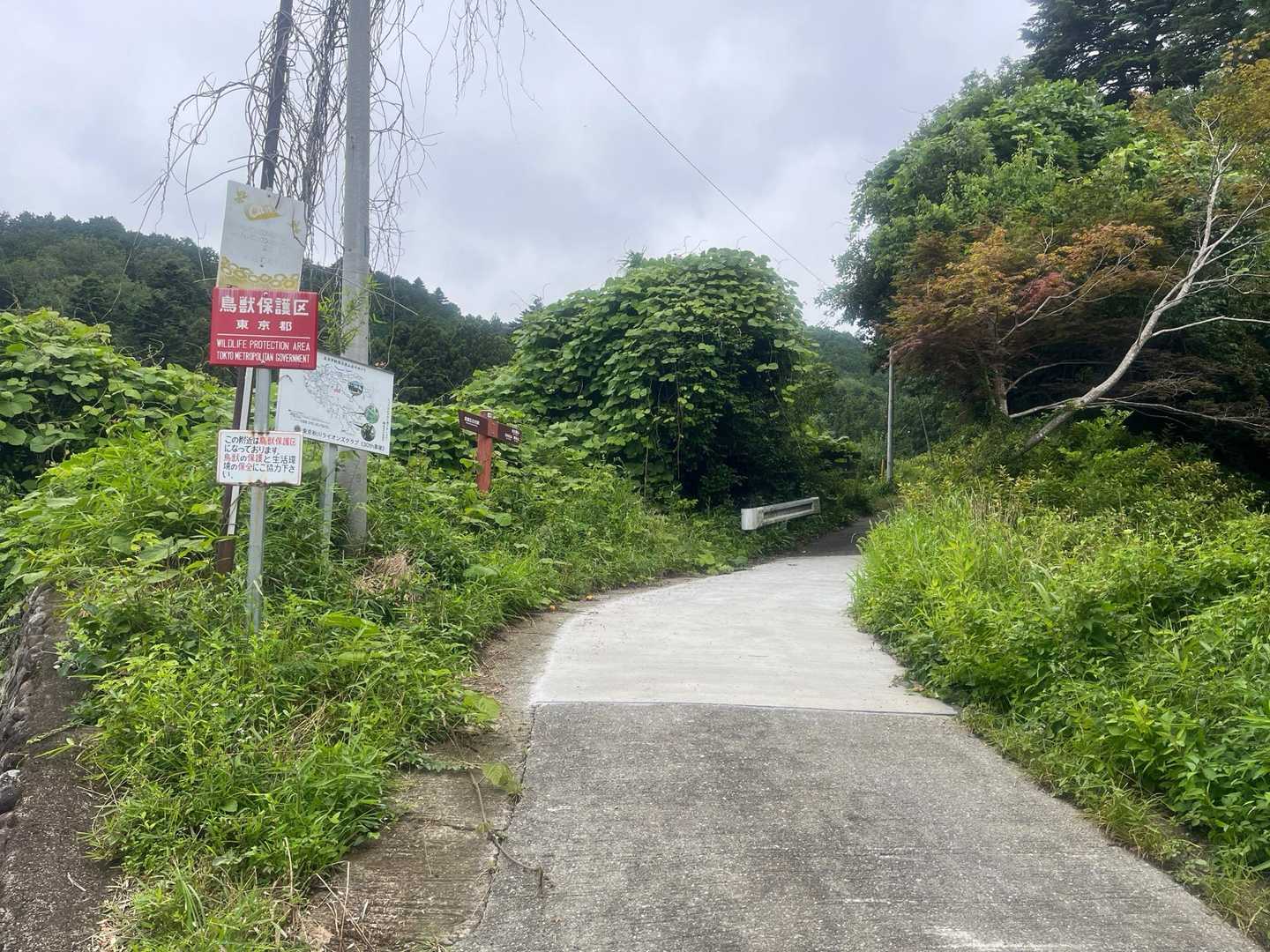 ここで登山道終了