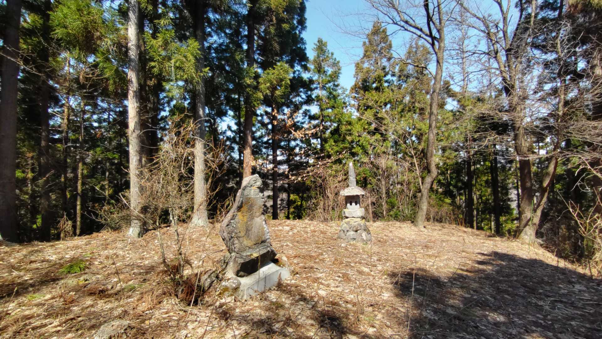 陣馬山山頂着。