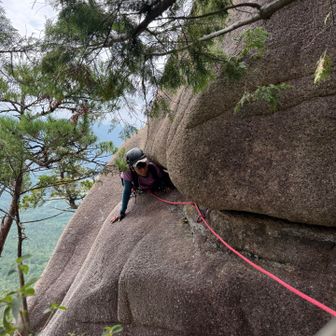 Yさんが写真沢山撮ってくれました😊🙌
るびのすけもハイハイほふく前進