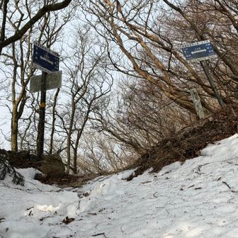 ここからは尾根歩き