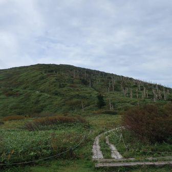 地蔵岳へ
